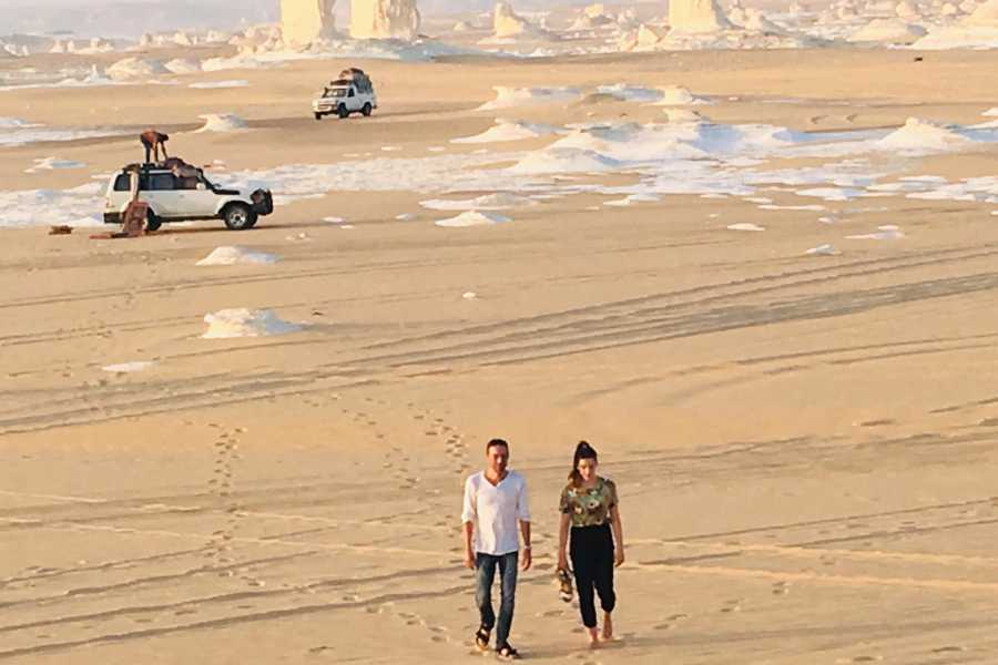 "Day Trip to Bahariya Oasis: Explore Black & White Desert from Cairo – Full Day Tour"