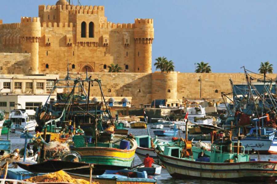 Alexandria day tour Visit the top attractions of Alexandria City