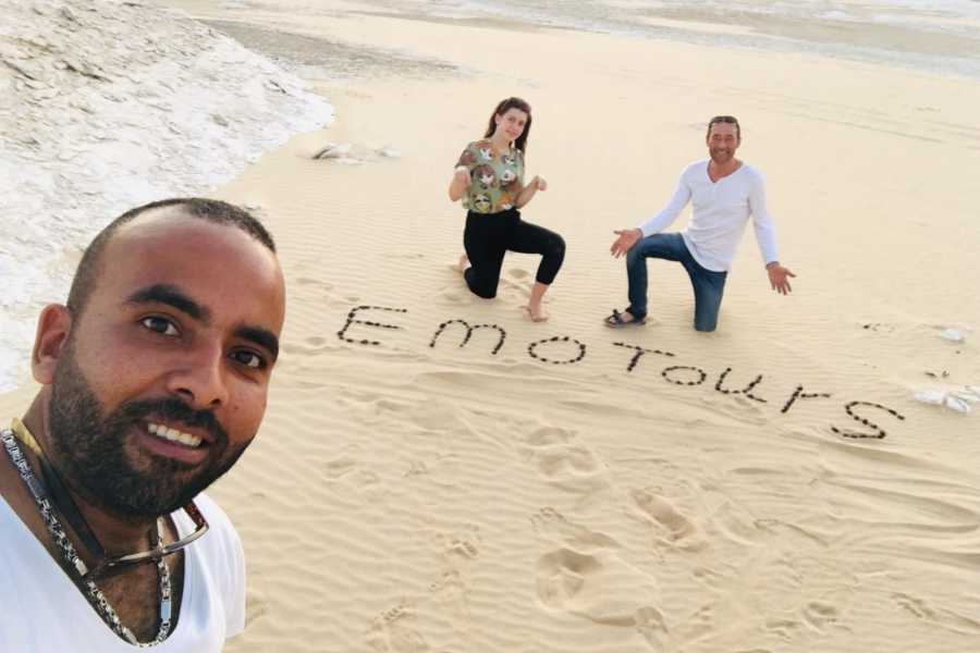 DAY TRIP TO BAHARIYA OASIS VISIT BLACK AND WHITE DESERT FROM CAIRO