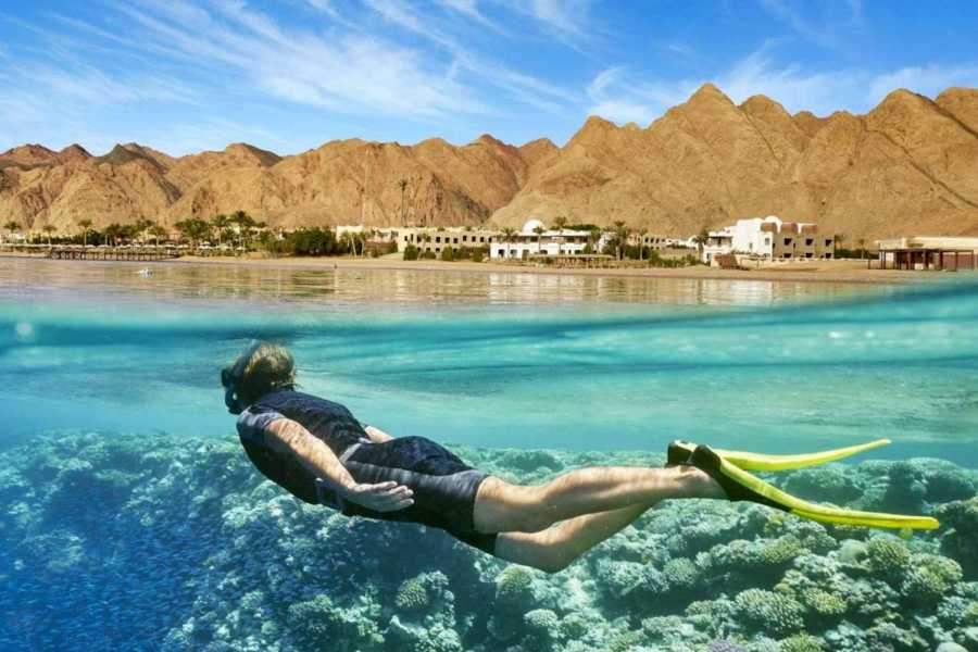 Day tour to Red sea El Ain Sohkna from Cairo