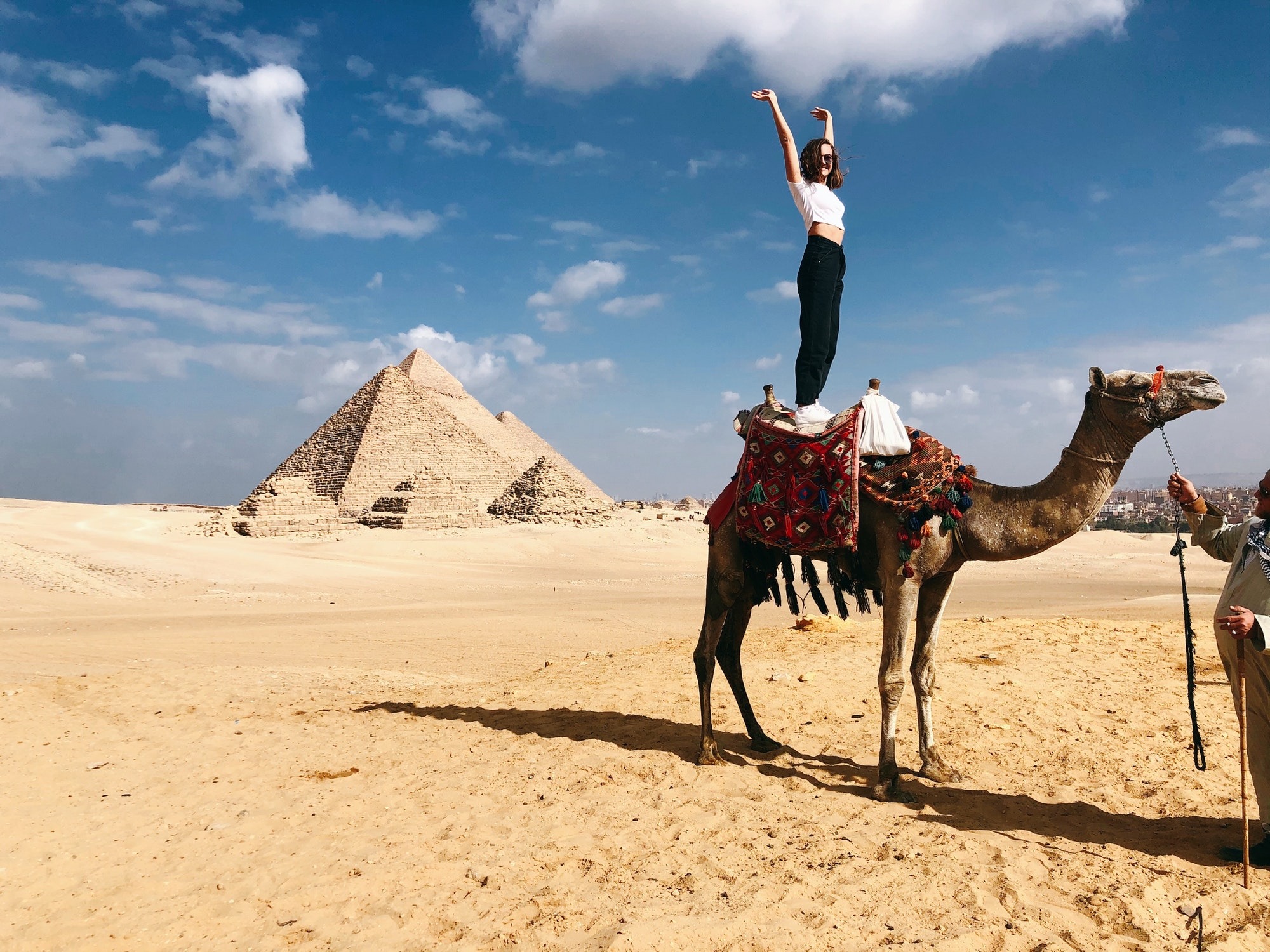 Day Tour to Cairo from Alexandria Port